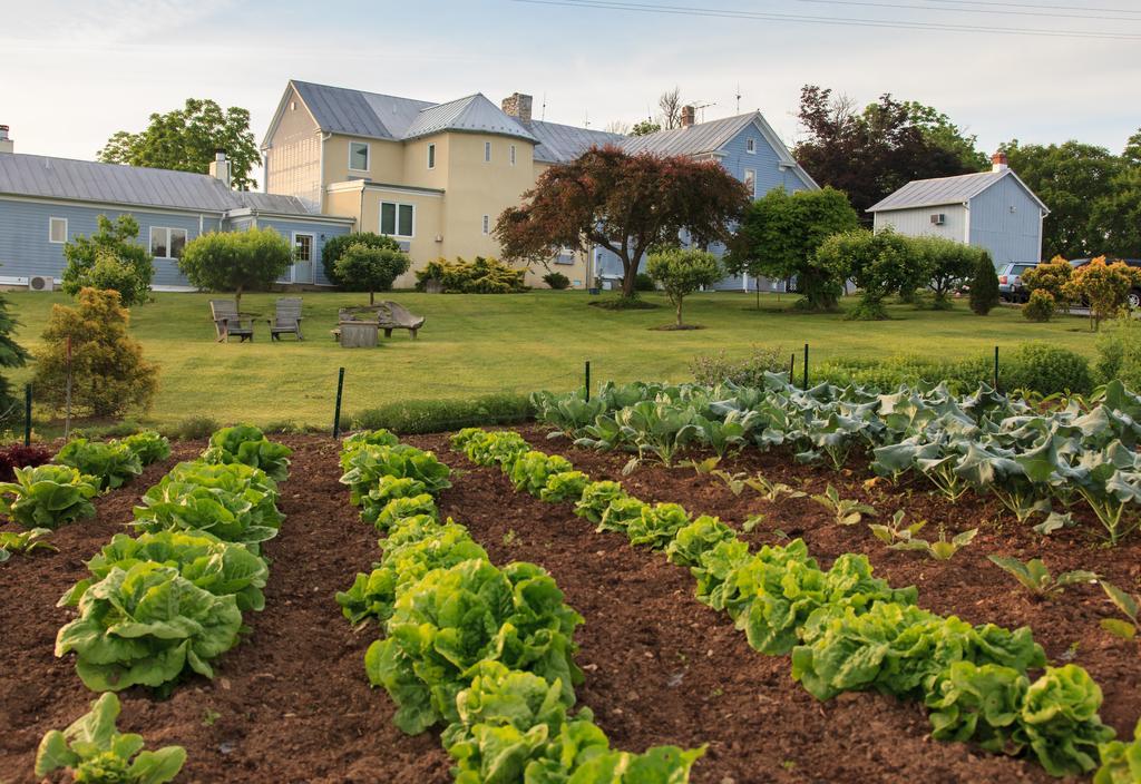 L'Auberge Provencale Inn & Restaurant Boyce 외부 사진