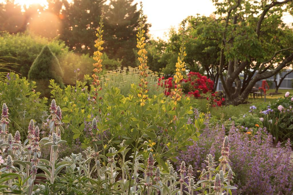 L'Auberge Provencale Inn & Restaurant Boyce 외부 사진