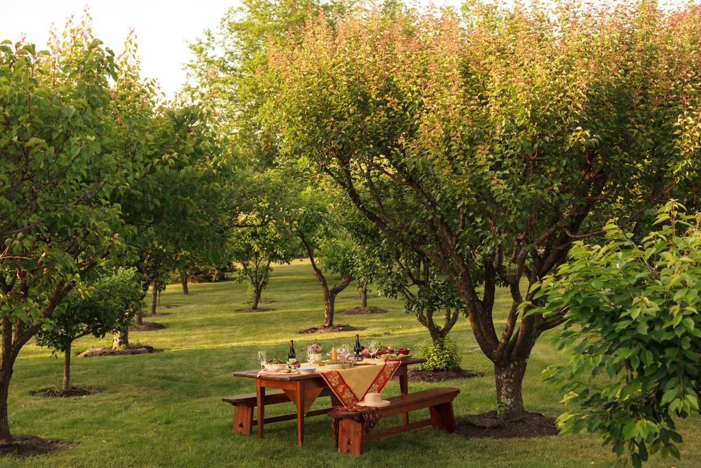 L'Auberge Provencale Inn & Restaurant Boyce 외부 사진